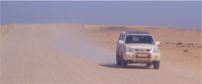namibia road 202x84